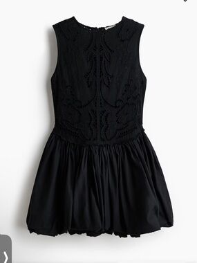 H&M Black Sleeveless Embroidered Bubble-Hem Dress